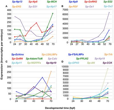 Neuropeptidergic Systems in Pluteus Larvae of the Sea Urchin Strongylocentrotus purpuratus: Neurochemical Complexity in a “Simple” Nervous System